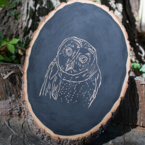 A Barn Owl carved into wood.