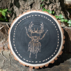 A Stag Beetle carved into wood.